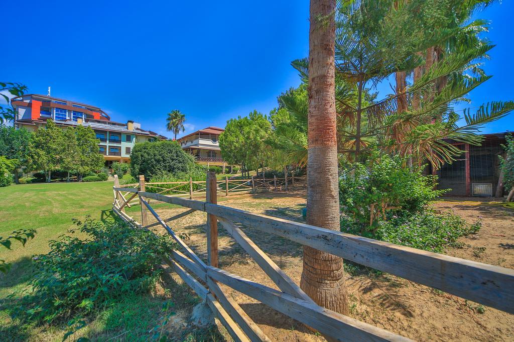 Lonicera World Avsallar Exterior photo